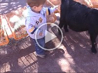 Clip 01 17